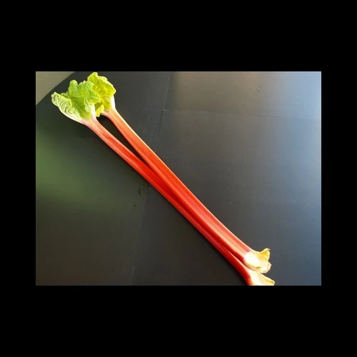 Rhubarbe Pays Kilo