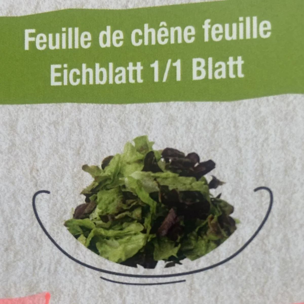 Salade Feuille de chêne 500Gr