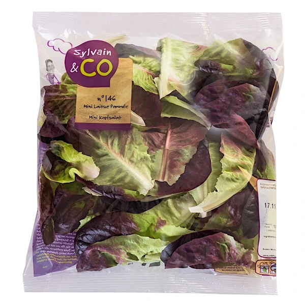 Salade Mini Laitue Pommée Rouge