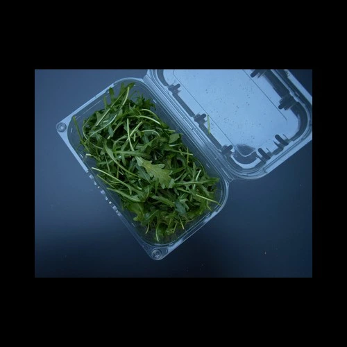 Salade Roquette 100Gr Italie