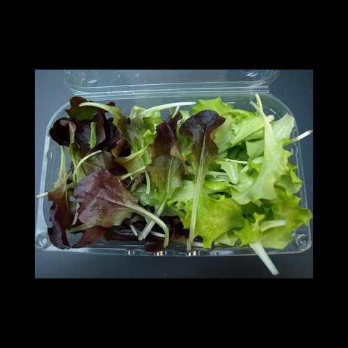 Saladine kilo Italie