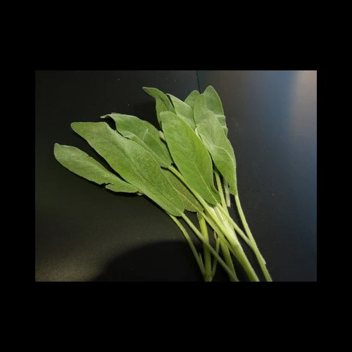 Sauge 500GR