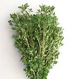 Thym Citronné Blister 20Gr