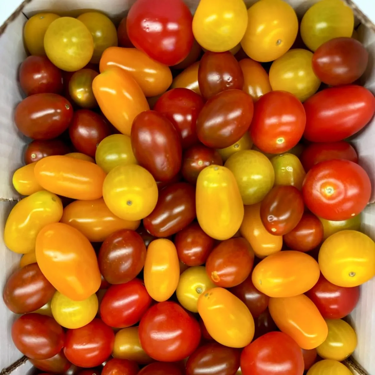 Tomates Cherry Mix 3 Kilos Pays Tomates Cherry Mix 3 Kilos Pays