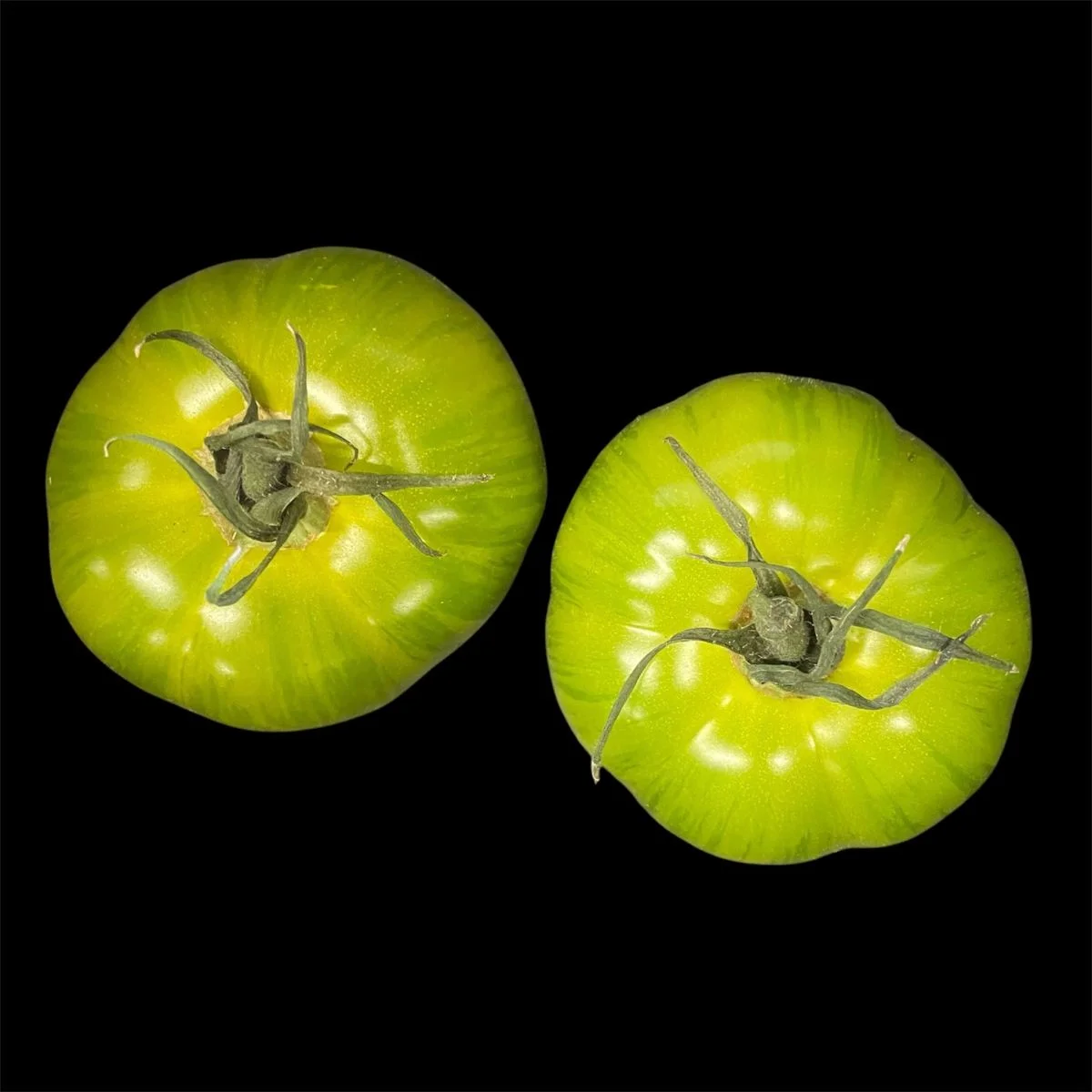 Tomates Green Zebra Kg Pays