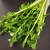 Catalogne 1 kg Image No 2