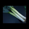 Poireaux Verts Pays colis 6 Kilos