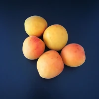 Abricots Luizet 50+