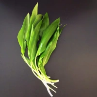 Ail d'ours Pays 100Gr