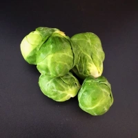 Choux de Bruxelles Hollande x 5 kilos
