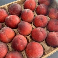 Pêches jaunes A Italie carton 3 kilos