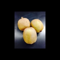 Kiwis Nouvelle Zélande carton 26 pces