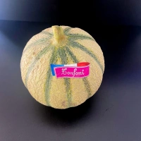 Melon Signature Gros 1.1 kg x5 pièces