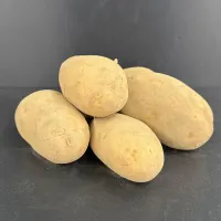 Charlottes non-lavées 25 Kg Espagne