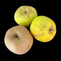 Pommes Canada Grosses Bio Valais Kilo