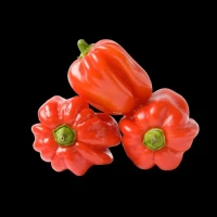 Piments Habanero x 200 gr (très forts)