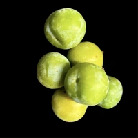 Prunes Reine Claude Valais kilo