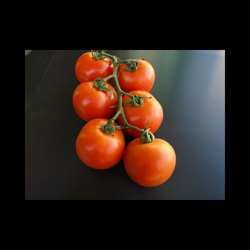 Tomates Grappes Pays